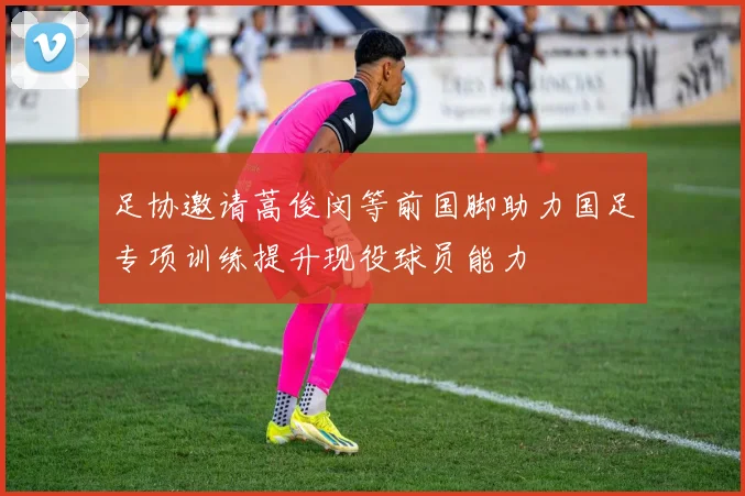 足协邀请蒿俊闵等前国脚助力国足专项训练提升现役球员能力