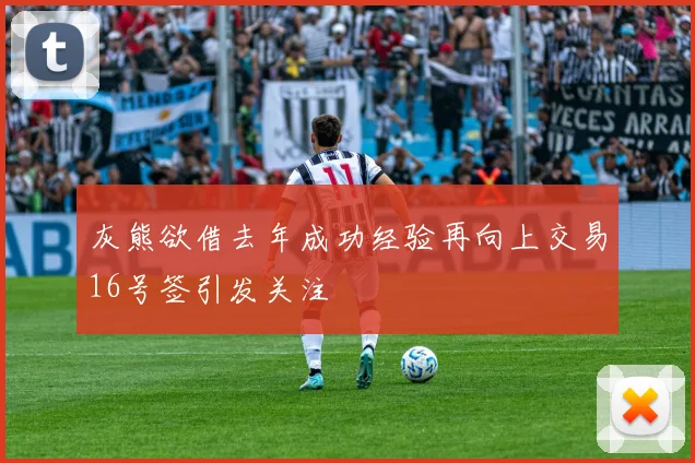 灰熊欲借去年成功经验再向上交易16号签引发关注